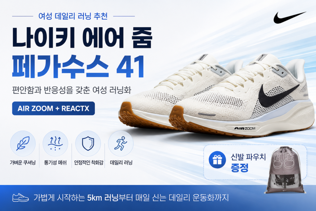 나이키 페가수스 41 런닝화 추천, 초보런닝화부터 5km,10km까지 편안하게 러닝화 운동화 추천 제품 이미지