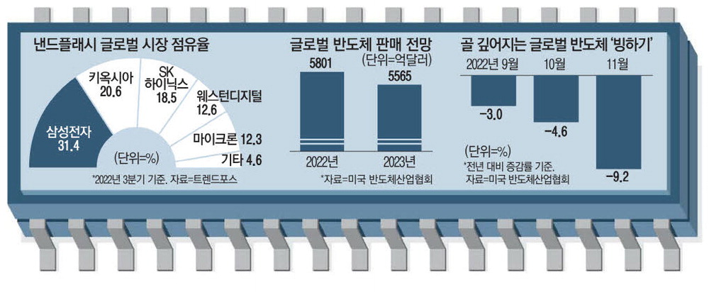 AI 시대 새로운 메모리 강자