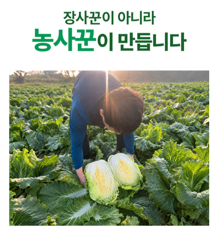 학동농장 해남 절임배추 20kg, 김장 준비 줄이는 가격·예약배송 비교  추천드리는 집